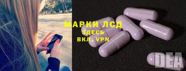 ПСИЛОЦИБИНОВЫЕ ГРИБЫ Арсеньев