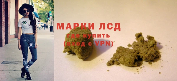 ПСИЛОЦИБИНОВЫЕ ГРИБЫ Арсеньев
