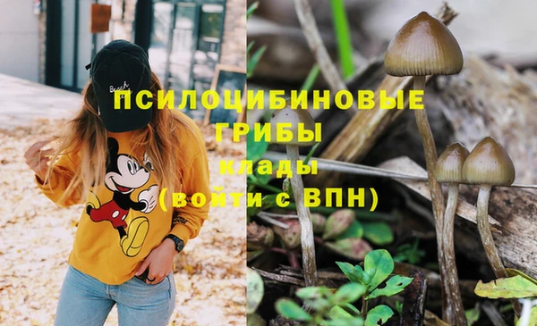 дживик Армянск