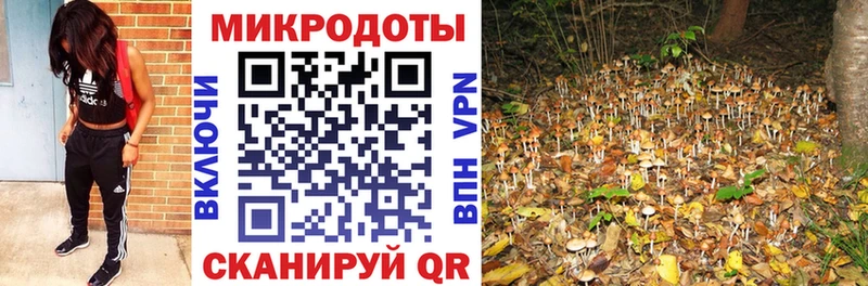 mega ссылка Старица Галлюциногенные грибы мицелий как найти закладки